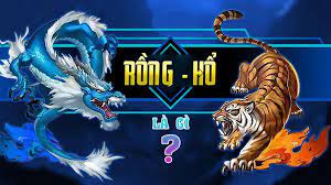 Rồng hổ Rs8